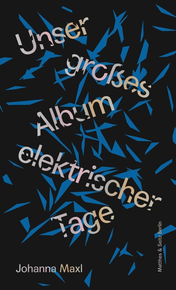 Unser großes Album elektrischer Tage main product photo