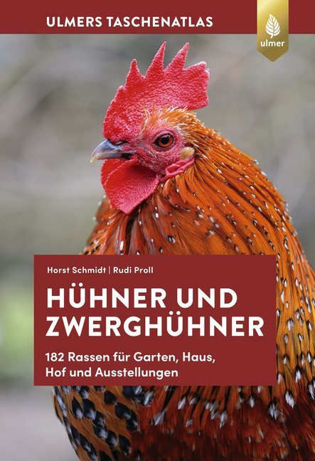 Hühner und Zwerghühner main product photo