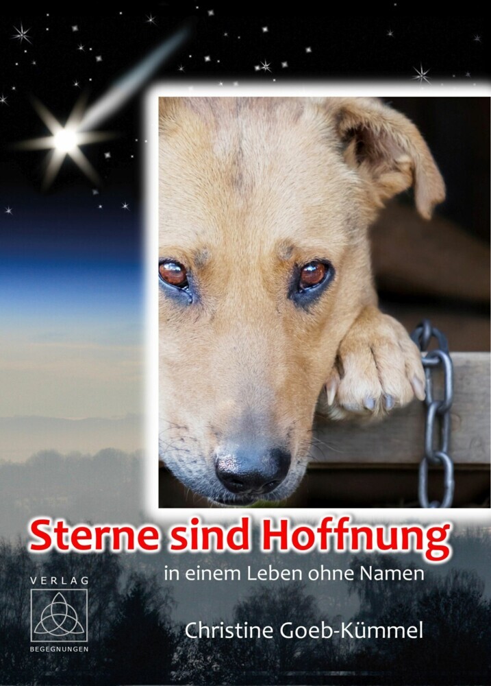 Sterne sind Hoffnung main product photo