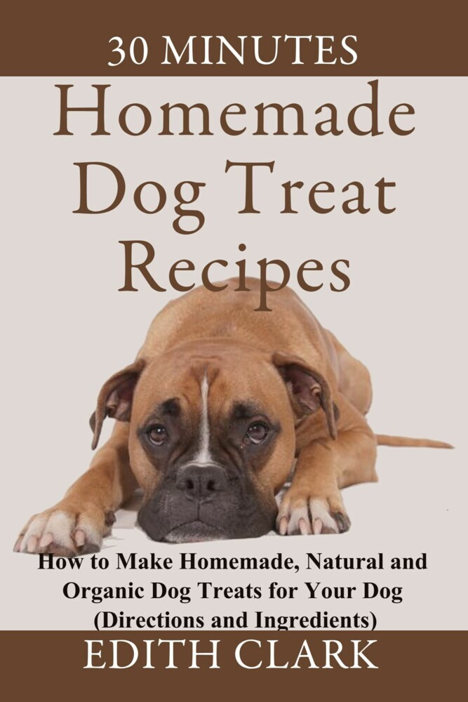 Homemade Dog Treat Recipes main product photo