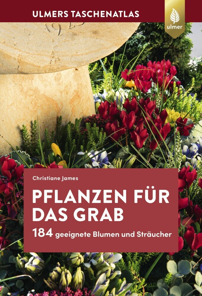 Pflanzen für das Grab main product photo