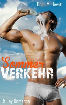 Sommerverkehr: 5 Gay Romance in einem Band