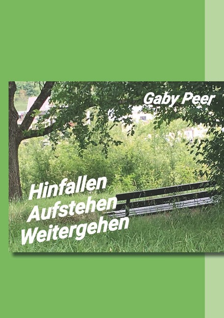 Hinfallen - Aufstehen - Weitergehen main product photo