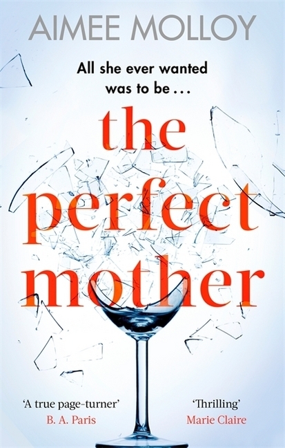 The Perfect Mother main product photo