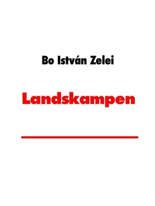 Landskampen