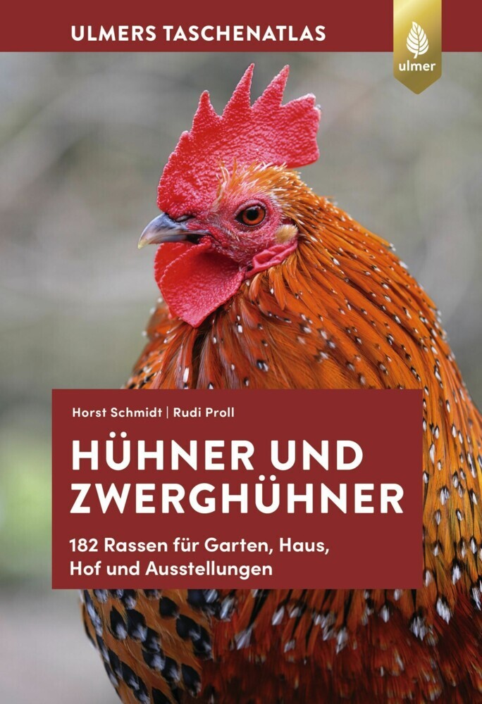 Hühner und Zwerghühner main product photo