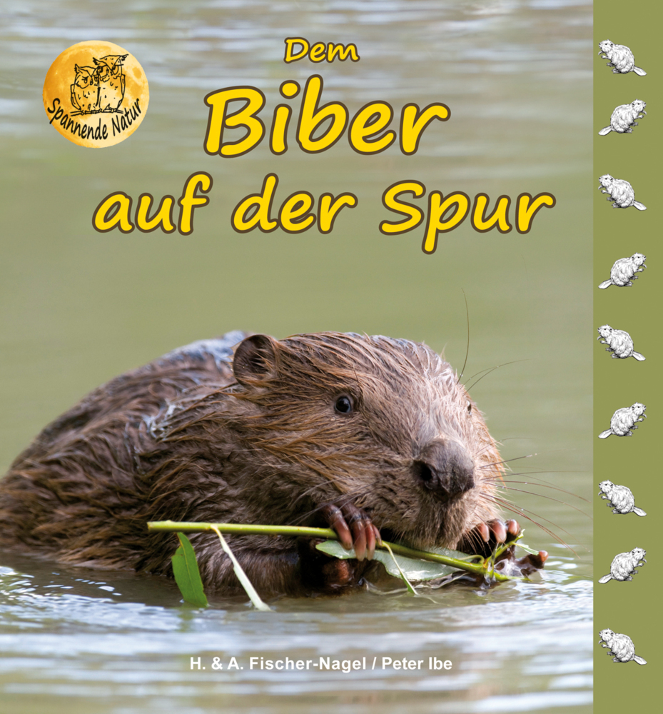 Dem Biber auf der Spur main product photo