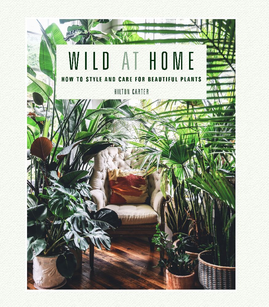 Wild at Home main product photo
