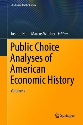 Public Choice Analyses of American Economic History