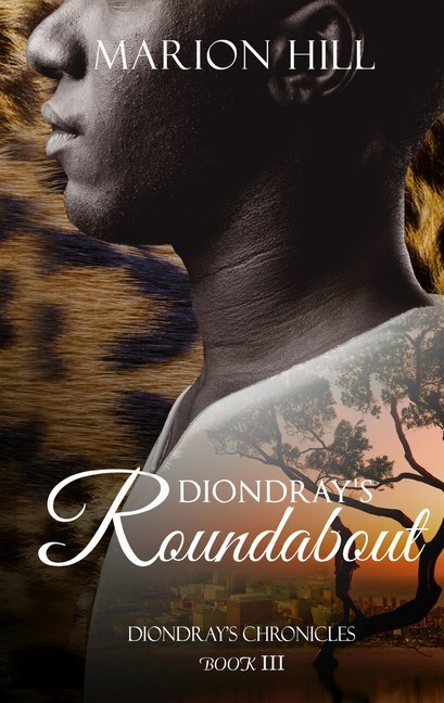Diondray's Roundabout main product photo