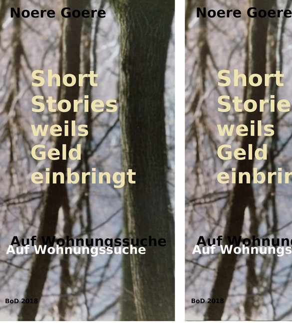 Short Stories weils Geld einbringt - Auf Wohnungssuche main product photo