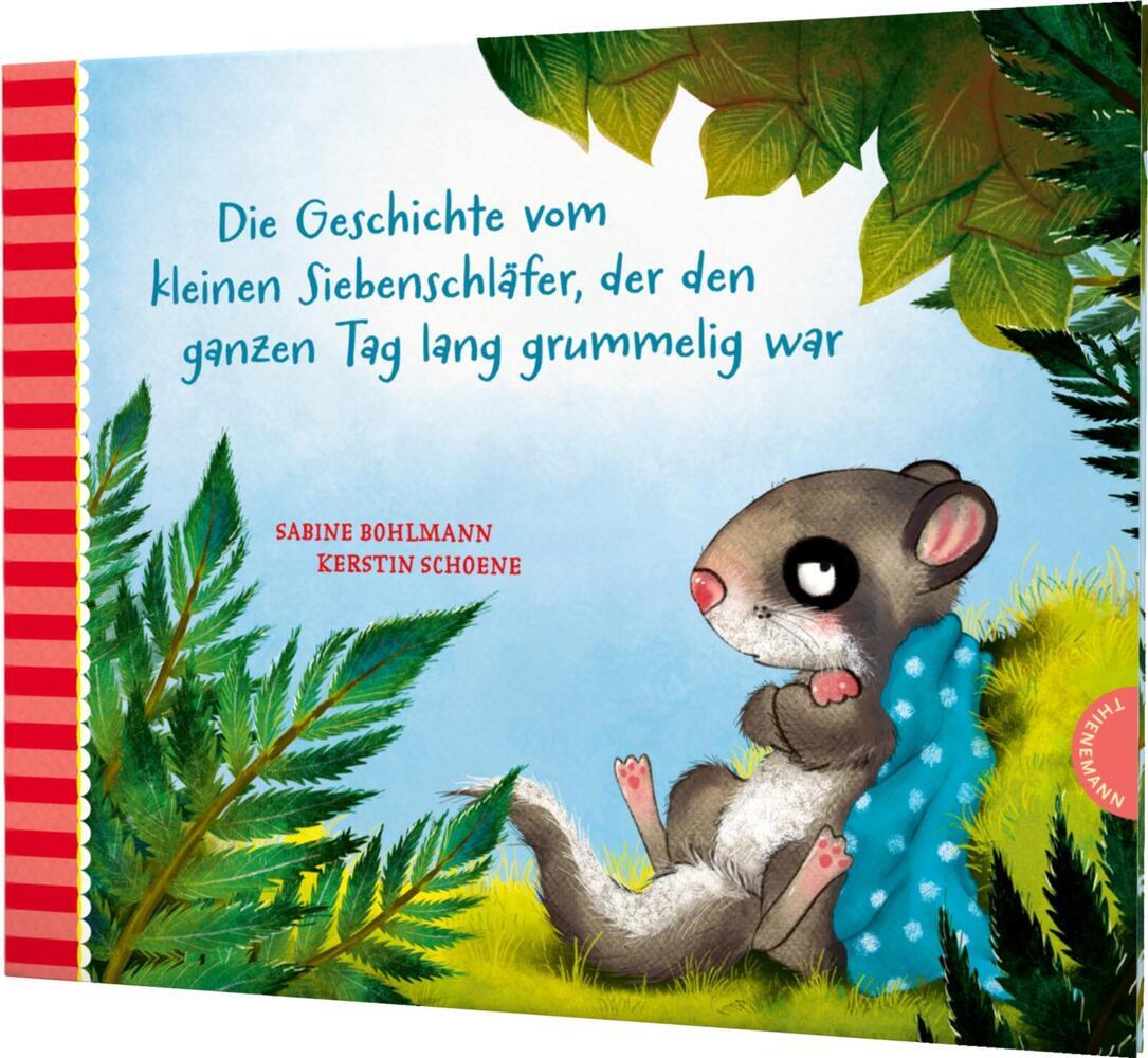 Der kleine Siebenschläfer -Die Geschichte vom kleinen Siebenschläfer, der den ganzen Tag lang grummelig war main product photo
