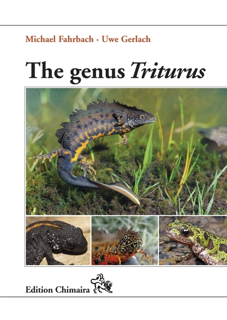 The genus Triturus main product photo