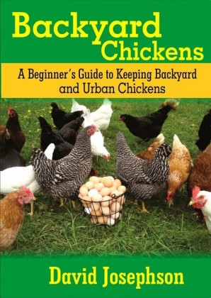 Backyard Chickens