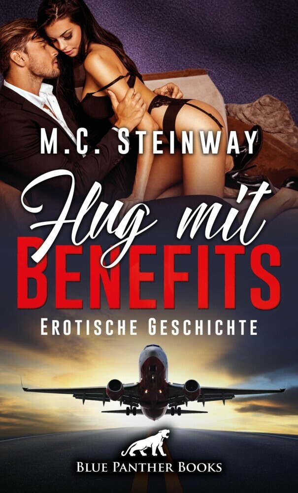 Flug mit Benefits | Erotische Geschichte main product photo