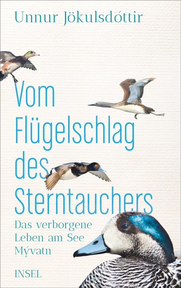 Vom Flügelschlag des Sterntauchers main product photo