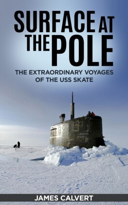 Surface at the Pole