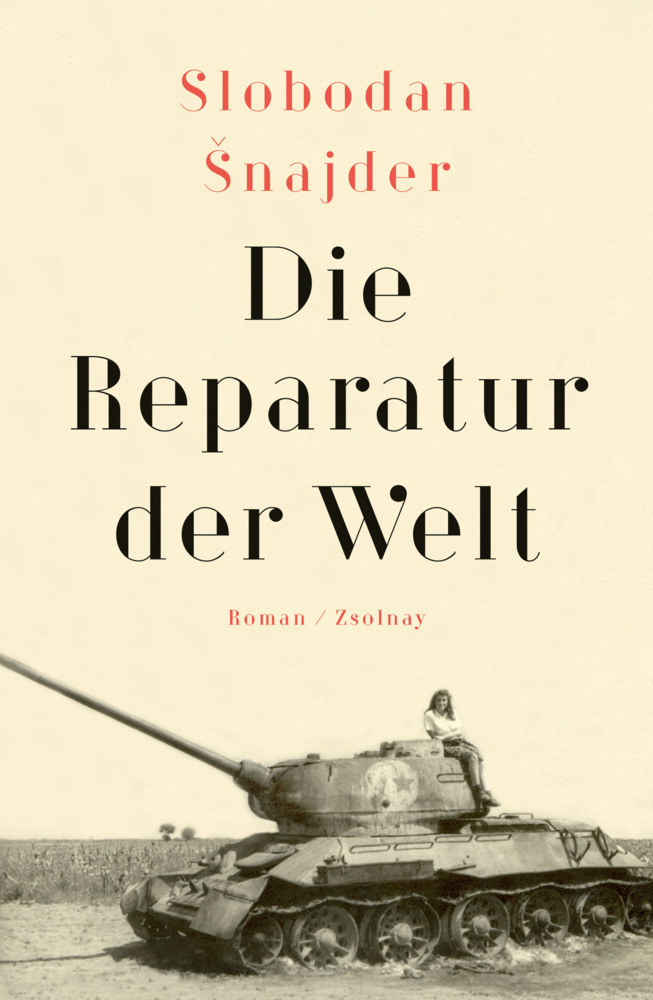 Die Reparatur der Welt main product photo