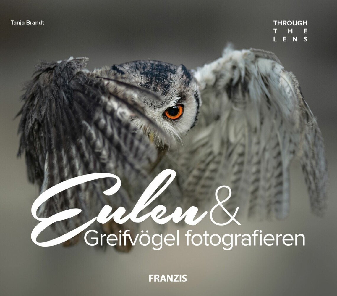 Eulen & Greifvögel fotografieren main product photo