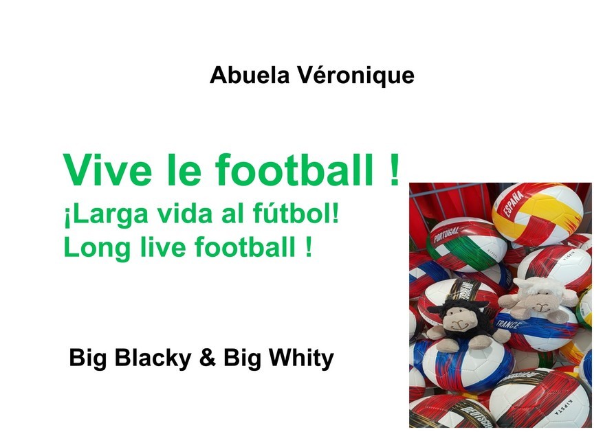 Vive le football ! main product photo