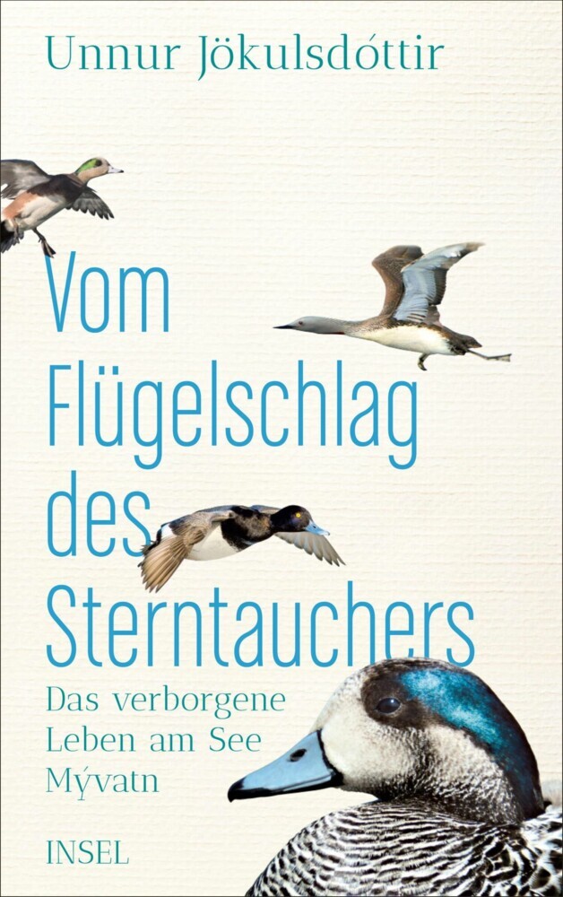 Vom Flügelschlag des Sterntauchers main product photo