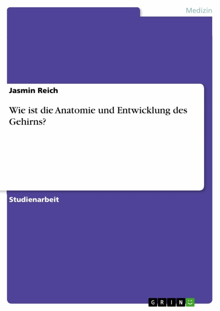 Wie ist die Anatomie und Entwicklung des Gehirns? main product photo
