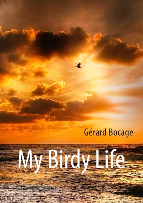 My Birdy Life main product photo