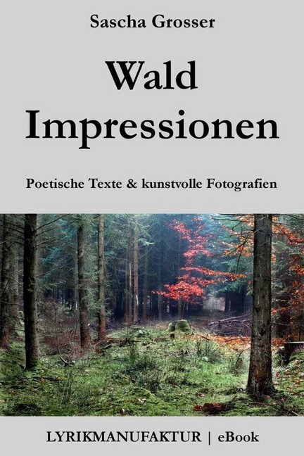 Wald Impressionen main product photo