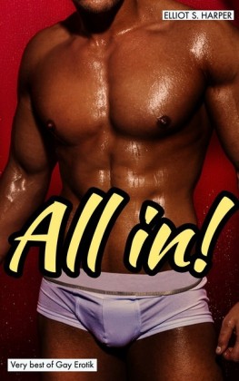 All in! - Very Best of Gay Erotik