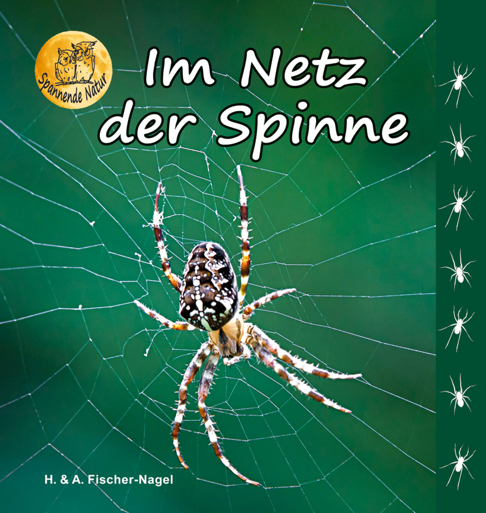Im Netz der Spinne main product photo