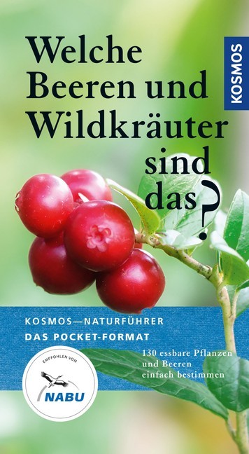 Welche Beeren und Wildkräuter sind das? main product photo