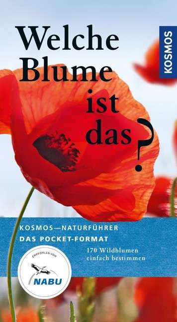 Welche Blume ist das? main product photo