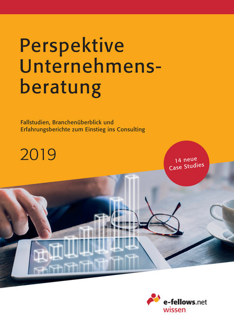 Perspektive Unternehmensberatung 2019 main product photo