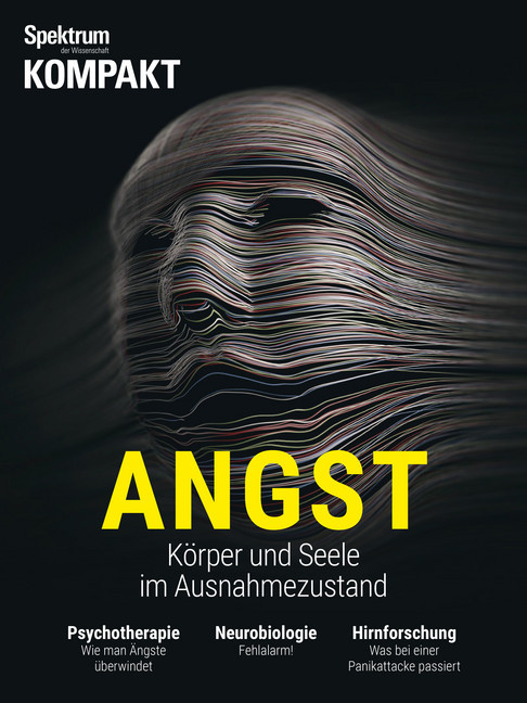 Spektrum Kompakt - Angst main product photo