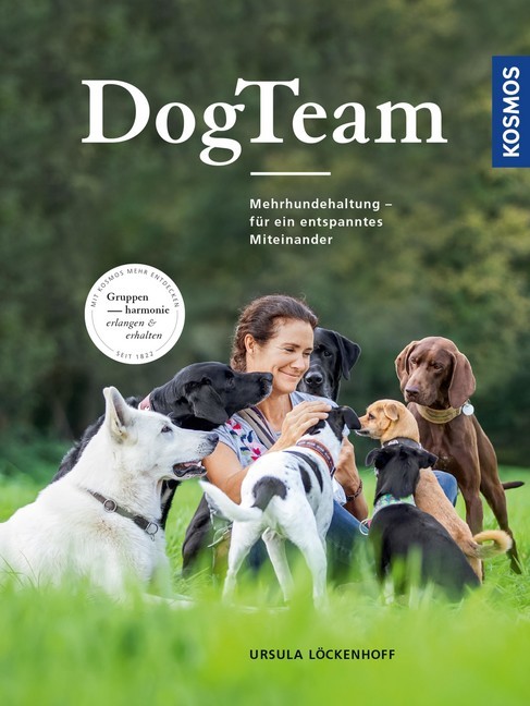 DogTeam main product photo