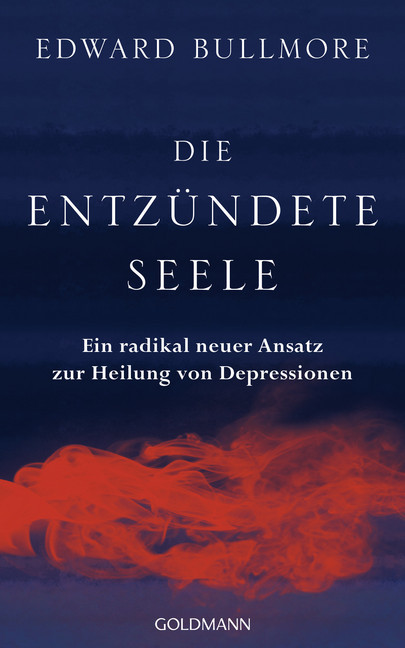 Die entzündete Seele main product photo