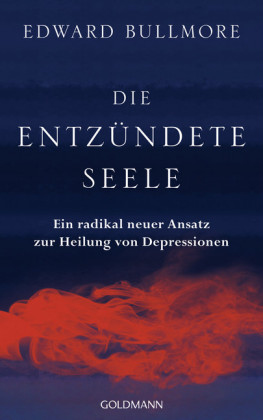 Die entzündete Seele