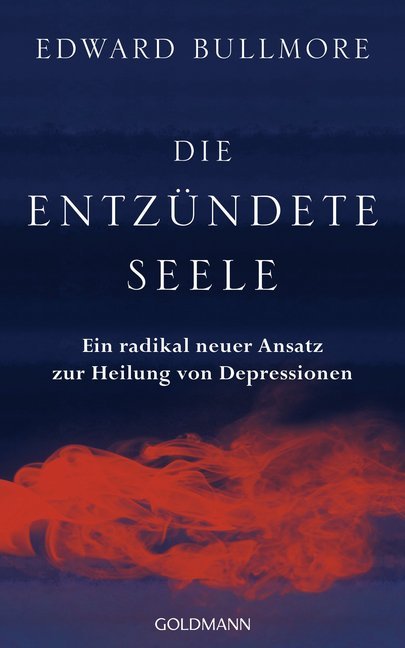 Die entzündete Seele main product photo