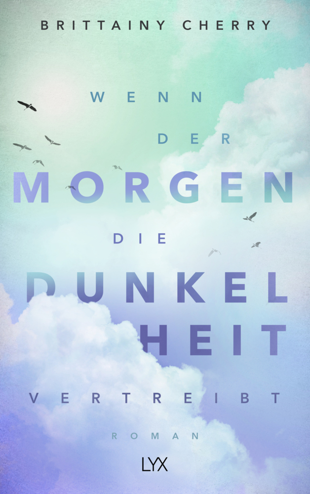 Wenn der Morgen die Dunkelheit vertreibt main product photo