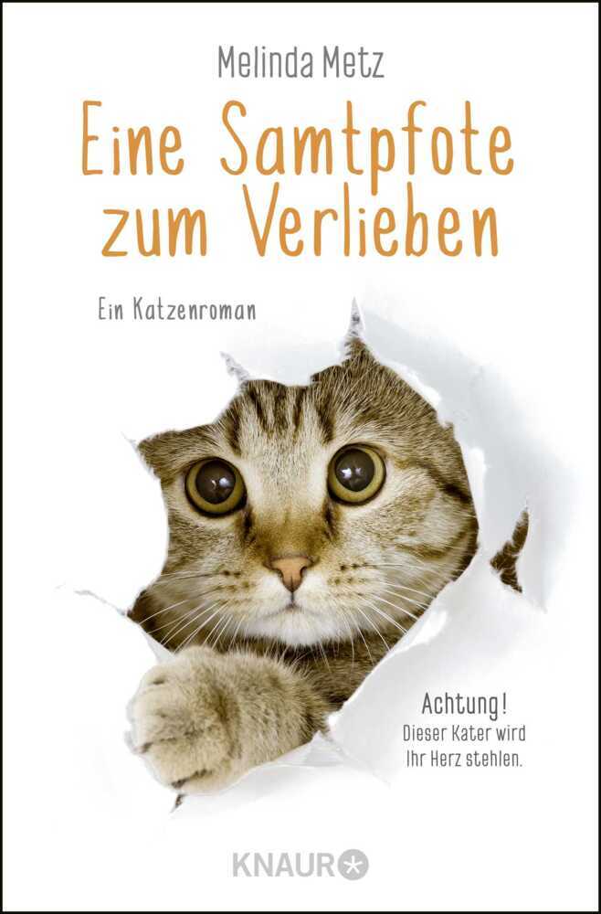 Eine Samtpfote zum Verlieben main product photo
