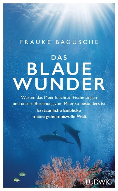 Das blaue Wunder main product photo