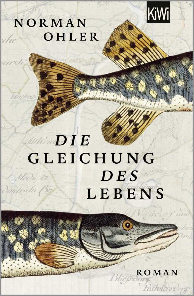 Die Gleichung des Lebens main product photo