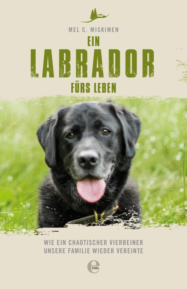 Ein Labrador fürs Leben main product photo