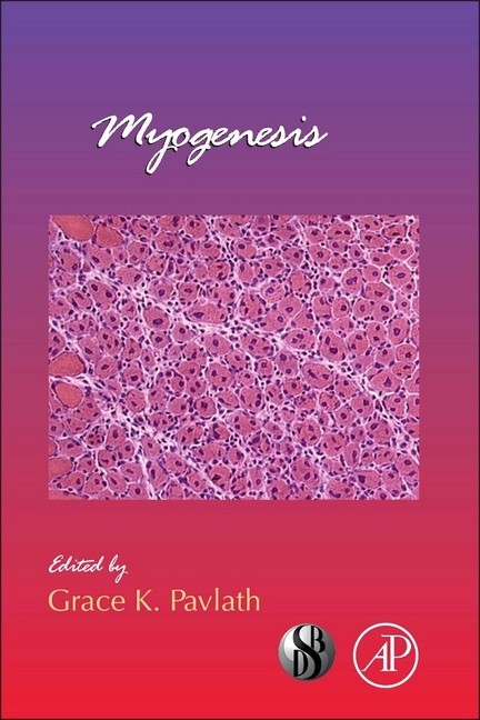 Myogenesis main product photo