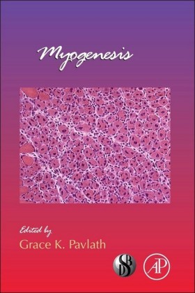 Myogenesis