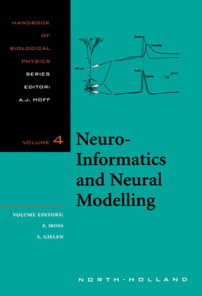 Neuro-informatics and Neural Modelling