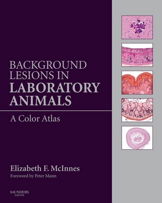 Background Lesions in Laboratory Animals main product photo