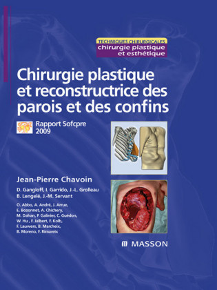 Chirurgie plastique et reconstructrice des parois et des confins