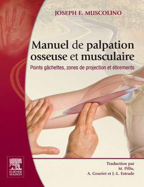 Manuel de palpation osseuse et musculaire main product photo