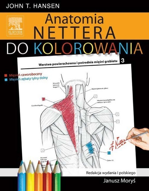 Anatomia Nettera do kolorowania main product photo